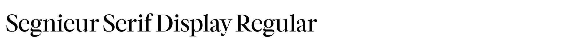 Segnieur Serif Display Regular image